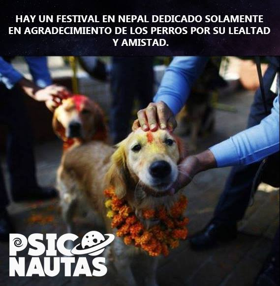 photo_806422352821487