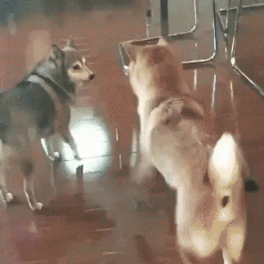 tumblr_oc8nyyEhs11v7z79bo1_400