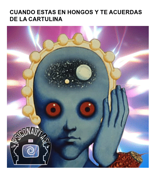 cuando-estas-en-hongos