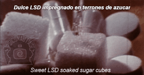 dulce-lsd